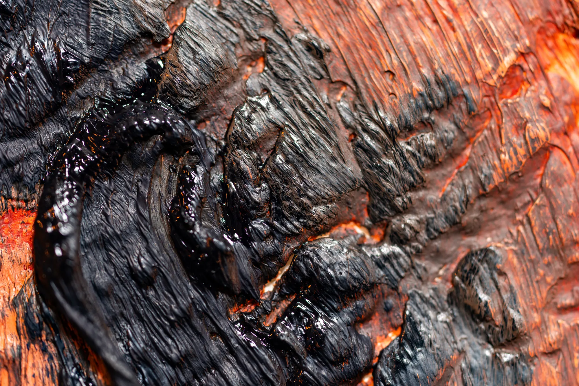 Close view of glossy black ridges lying over a burnt orange ground.
