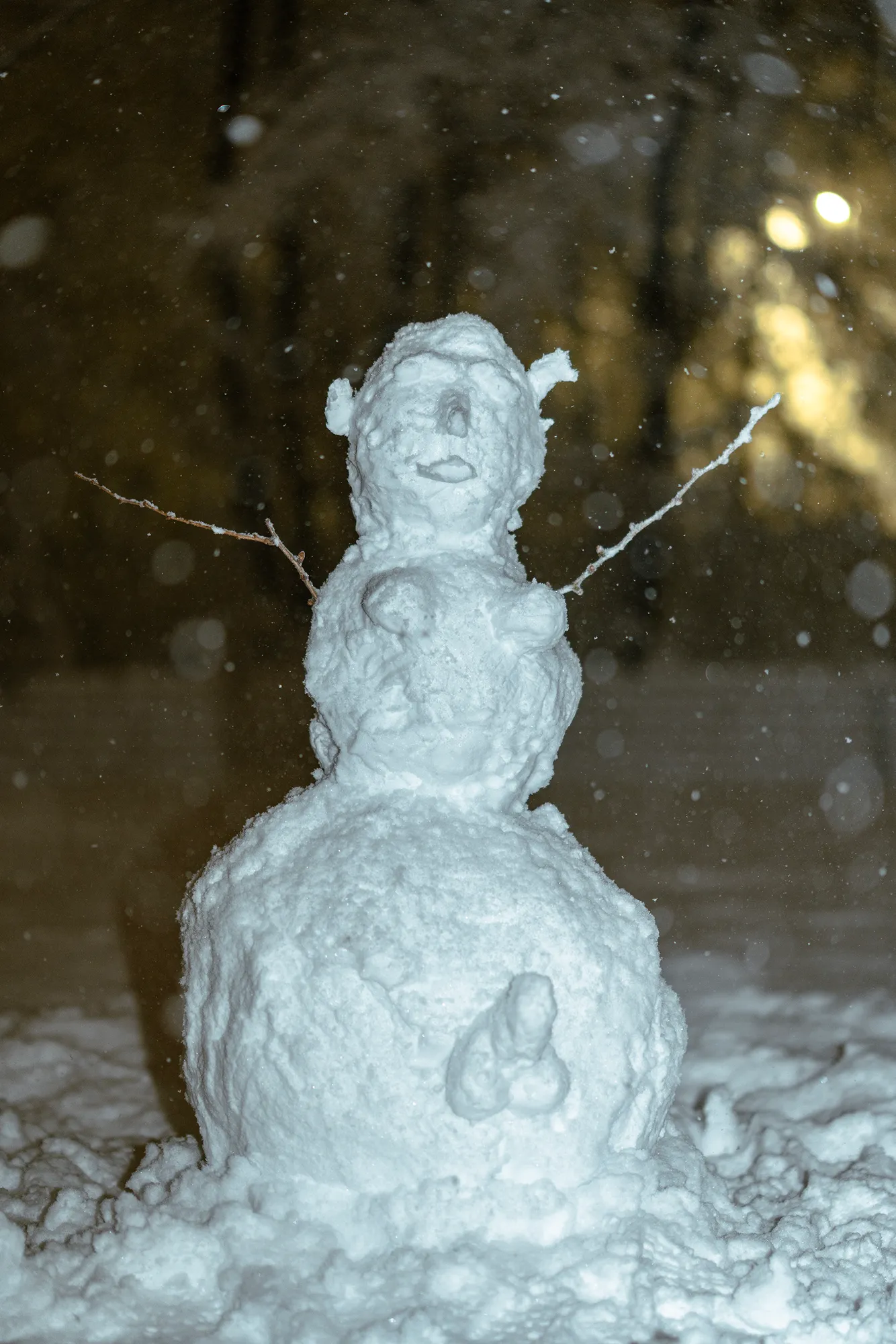 Snowday in Central Park, February 2026 — KOI00803