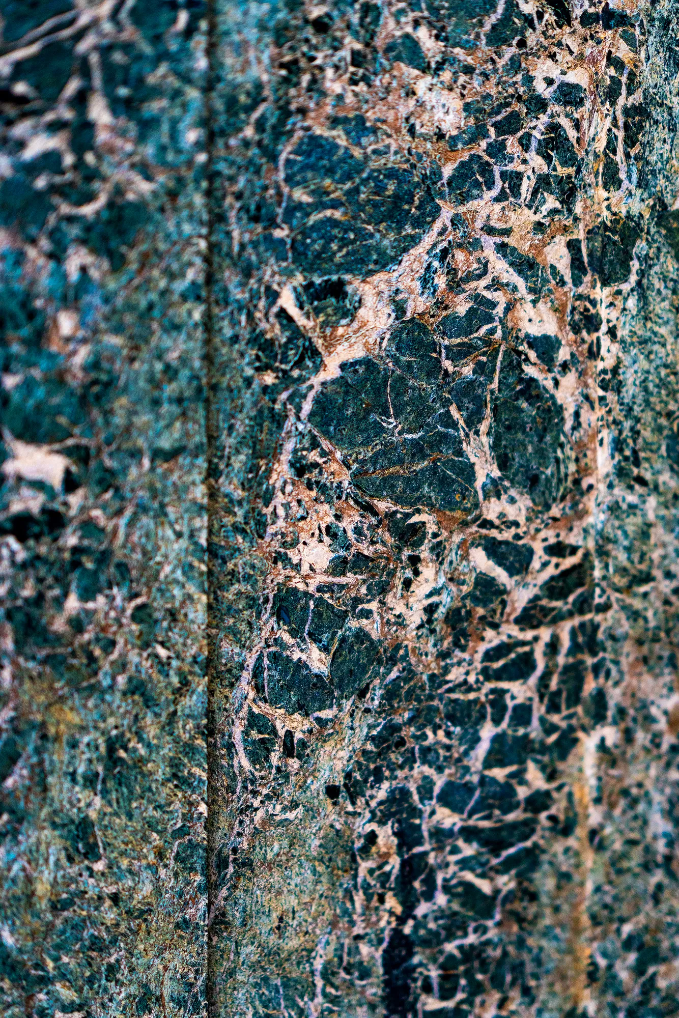 Shapes, Patterns, Colors & Textures, July 2024 — KOI02836