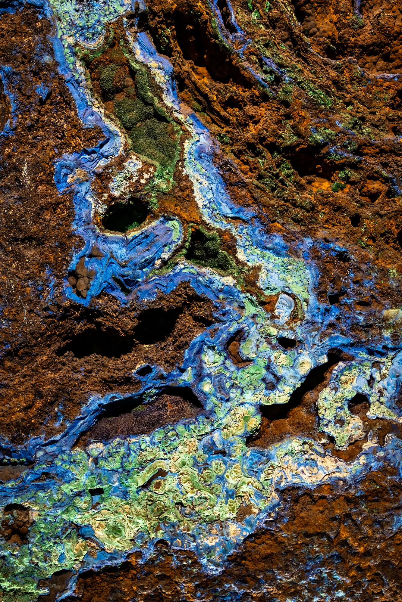 Shapes, Patterns, Colors & Textures, July 2024 — KOI02863