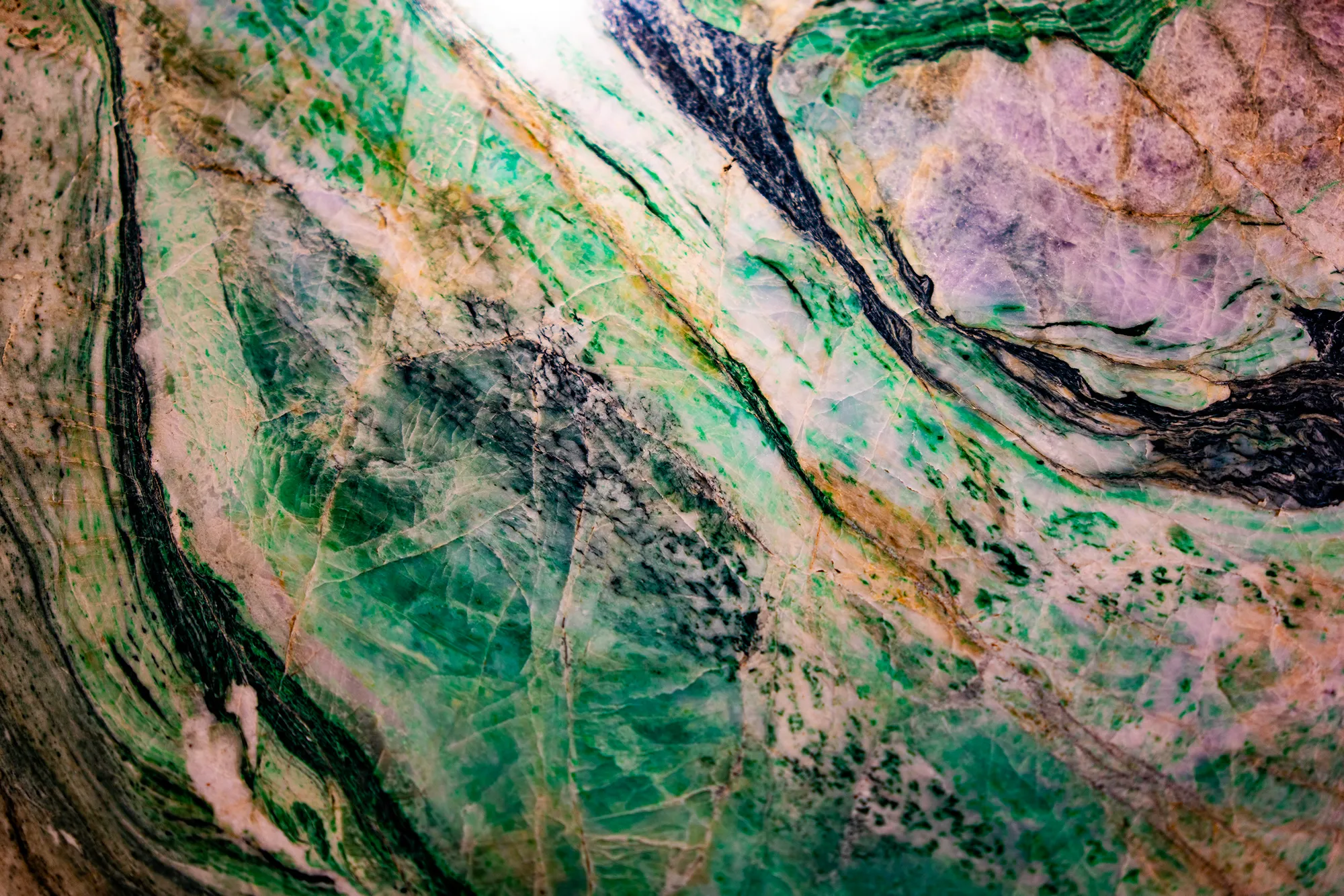 Shapes, Patterns, Colors & Textures, July 2024 — KOI02883