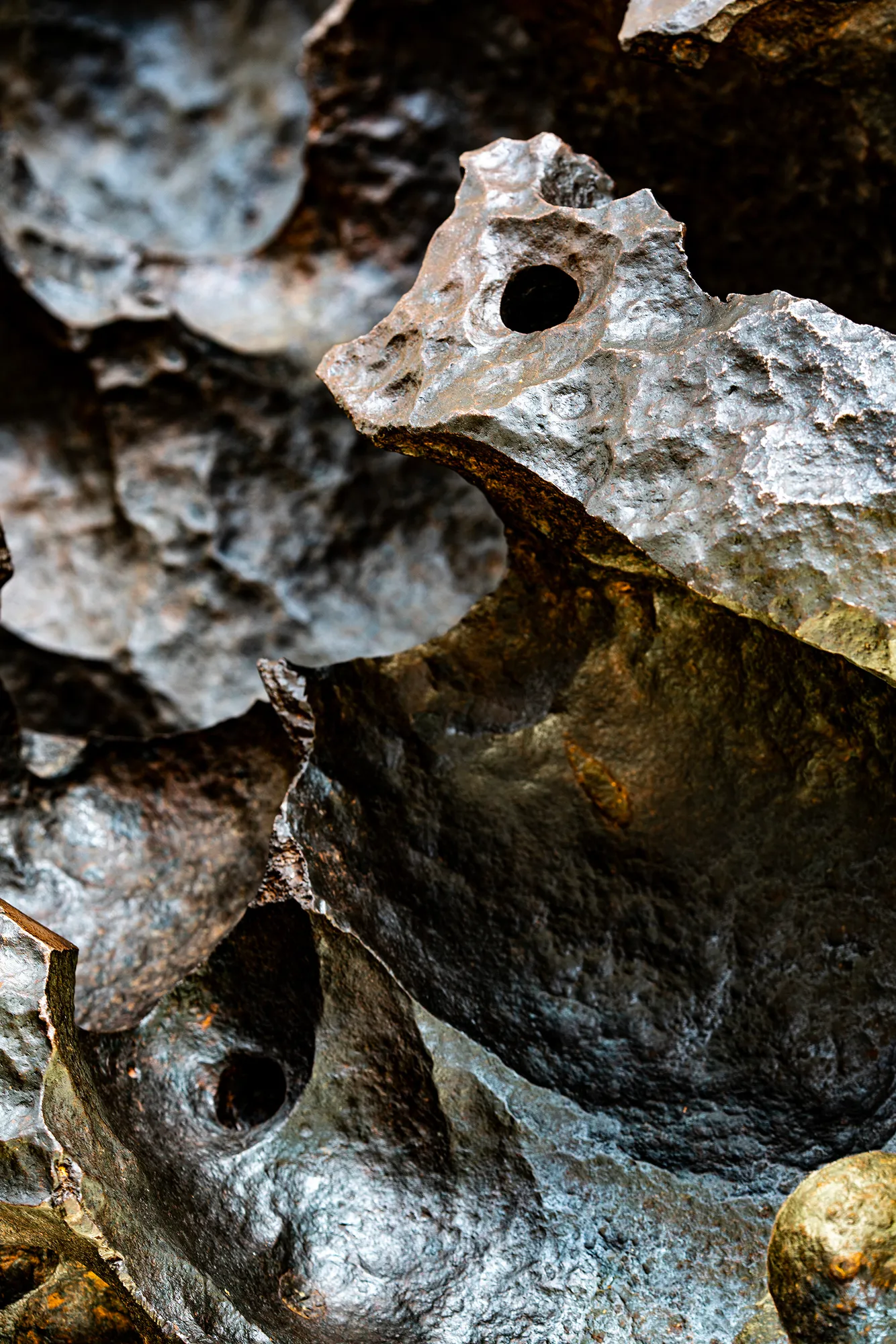 Shapes, Patterns, Colors & Textures, July 2024 — KOI02889